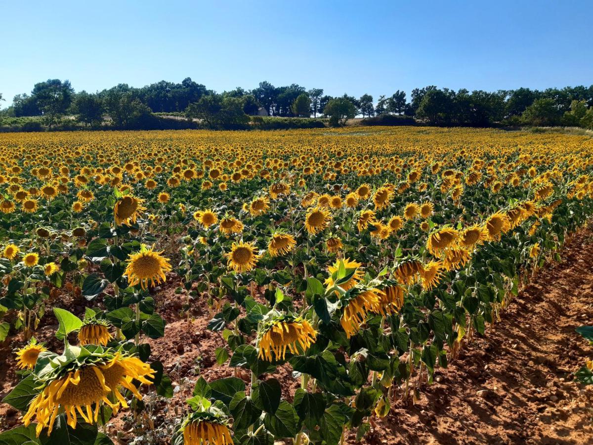La Vita Dolce, Luberon Grambois Eksteriør bilde